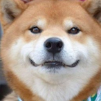 KNR344-O-TT's Avatar'