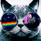 Jelol92's Avatar'