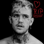 DontBeToxicXXX's Avatar'