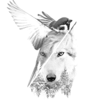 matxxhr's Avatar'