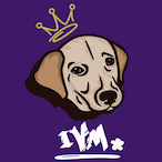 IVM_'s Avatar'