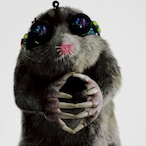 Speckles_.'s Avatar'