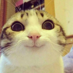 fat_rip_'s Avatar'