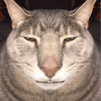 Wathesiggma's Avatar'
