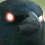 JPmanCZ's Avatar'