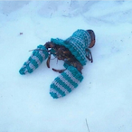 KenLobster's Avatar'