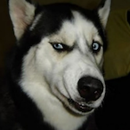 RlySneaky's Avatar'