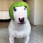 sergeantSchmii's Avatar'