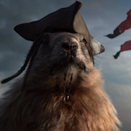 m-Marmotte's Avatar'