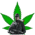 LookingForScrim's Avatar'