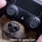 Goose_Games's Avatar'