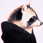 Rakunera's Avatar'