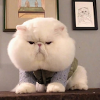 FreewayQazszy's Avatar'