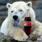 UN_Bearable's Avatar'