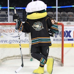 Mo_Mallard's Avatar'