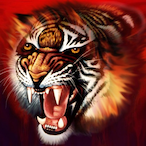 Tigr311's Avatar'