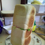 IFancyLacie's Avatar'