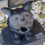 terurinPasture's Avatar'