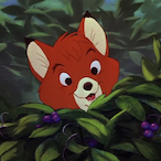LukasFoxs's Avatar'