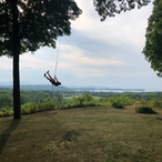 GrassyHaddock74's Avatar'