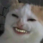 AcazahZehmo's Avatar'