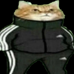 giveskill.exe's Avatar'