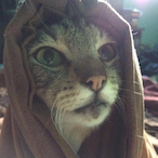 MaximoPolpo's Avatar'