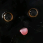 Nicooo_haha's Avatar'