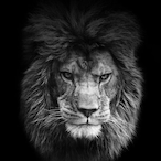 MrGamer-Ks's Avatar'