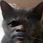 Boredbrandonx's Avatar'