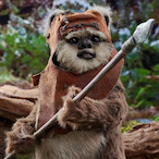 WicketGuardian's Avatar'