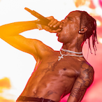 XNXX.Waiman's Avatar'