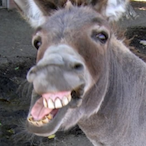 RussellBurgerJNR's Avatar'