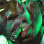 Frechfuchs98's Avatar'