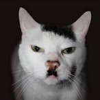 TFOOFFI's Avatar'