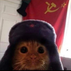 zlixxyy_-_'s Avatar'