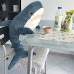 Blahaj_'s Avatar'
