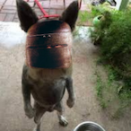 Ni_cole's Avatar'