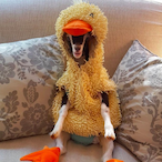 GoatMemes's Avatar'