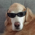 No_one_you_know's Avatar