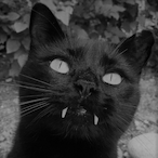Vixsie's Avatar'