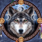 hwolfe0911's Avatar'