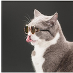 BabouleCollante's Avatar'