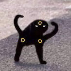 GLRank1Umbreon's Avatar'