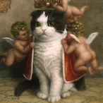 allbonknoaim's Avatar