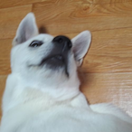 Yuil_lucuze's Avatar'