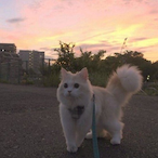 Fletcherr007's Avatar'