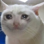 Cat_I_am_Trash's Avatar'
