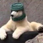 Mastru.De.Beer's Avatar'