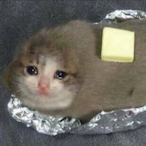 WhaleOnFent's Avatar'